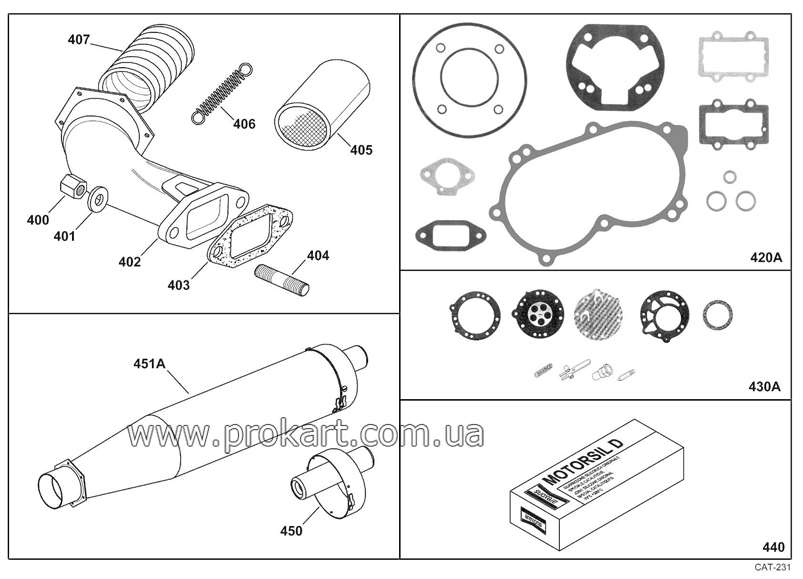 EXHAUST GROUP & GASKETS SET