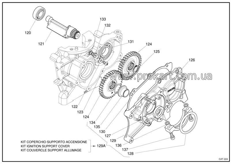 BALANCING SHAFT